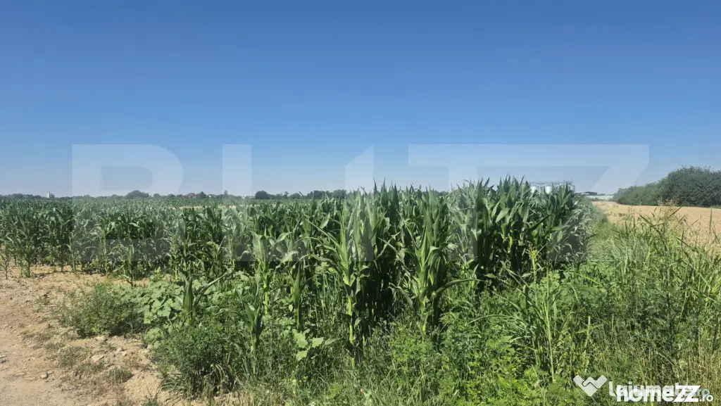 Teren intravilan de vanzare, 5700 mp, in Berindan-Odoreu