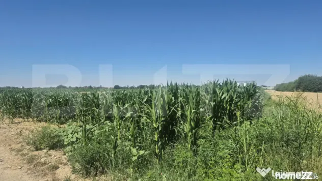 Teren intravilan de vanzare, 5700 mp, in Berindan-Odoreu