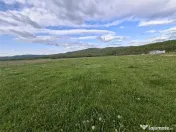 Teren de Talmaciu 