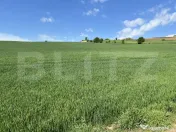 Teren generos 15.900 mp (intravilan + extravilan) în Sâncr 