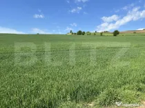 Teren generos 15.900 mp (intravilan + extravilan) în Sâncr