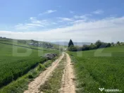 Teren generos 15.900 mp (intravilan + extravilan) în Sâncr 