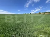 Teren generos 15.900 mp (intravilan + extravilan) în Sâncr 
