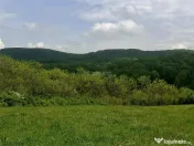 Teren extravilan de Talmaciu 