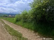Teren extravilan de Talmaciu 
