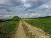 Teren extravilan de Talmaciu 