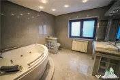 Vila pretabila rezidenta/office Iancu Nicolae | Bulevard 