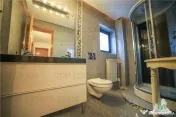 Vila pretabila rezidenta/office Iancu Nicolae | Bulevard 
