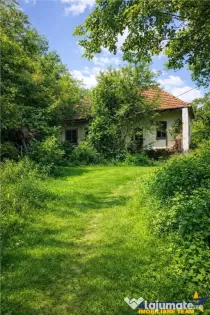 Domeniu verde autentic, 5.000mp, front la DJ, Valcele, Bra