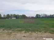 Teren ideal dezvoltare imobiliară în Măgurele strada A... 