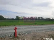Teren ideal dezvoltare imobiliară în Măgurele strada A... 