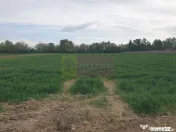 Teren ideal dezvoltare imobiliară în Măgurele strada A... 