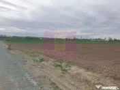 Teren ideal dezvoltare imobiliară în Măgurele strada A...