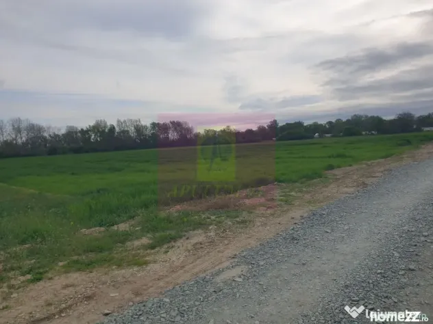 Teren ideal dezvoltare imobiliară în Măgurele strada A... - Magurele (Bucuresti-Ilfov)