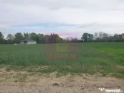 Teren ideal dezvoltare imobiliară în Măgurele strada A...