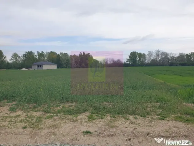Teren ideal dezvoltare imobiliară în Măgurele strada A... - Magurele (Bucuresti-Ilfov)