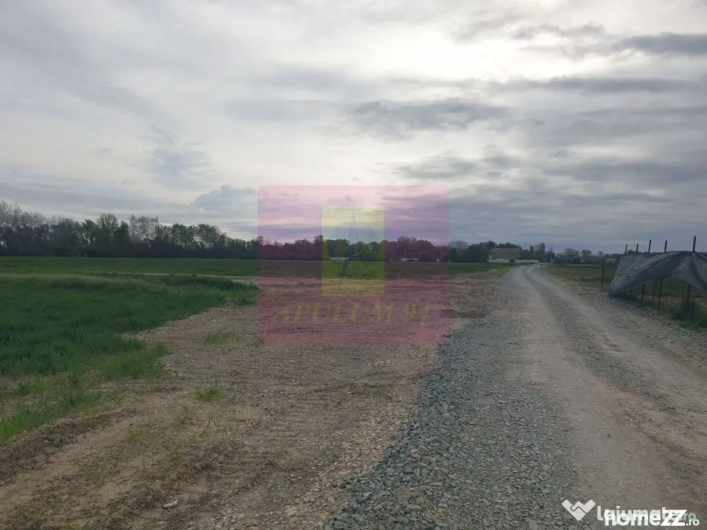 Teren ideal dezvoltare imobiliară în Măgurele strada A... - Magurele (Bucuresti-Ilfov)