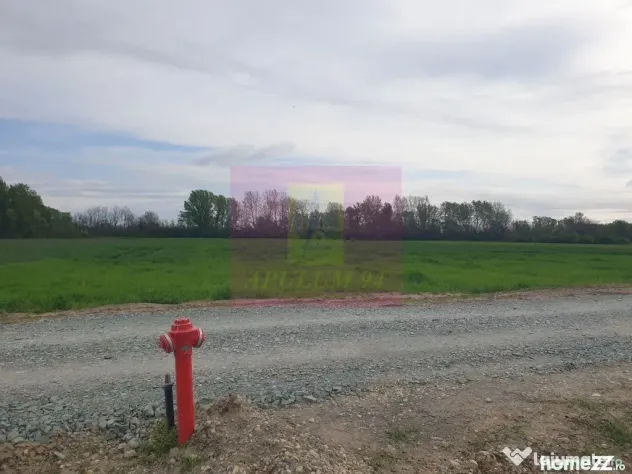 Teren ideal dezvoltare imobiliară în Măgurele strada A... - Magurele (Bucuresti-Ilfov)