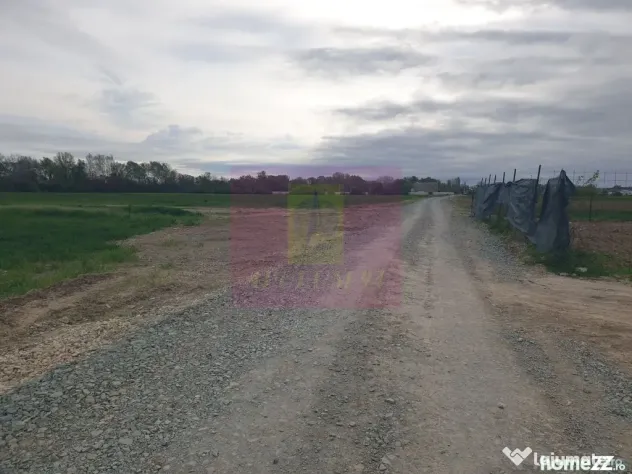 Teren ideal dezvoltare imobiliară în Măgurele strada A... - Magurele (Bucuresti-Ilfov)