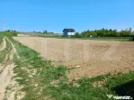 Teren de vanzare intravilan, 30 ari, Suceava