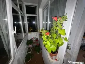 Apartament 3 camere - Podul de Piatră 