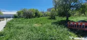 Teren ideal dezvoltare imobiliara.