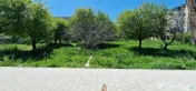 Teren ideal dezvoltare imobiliara.