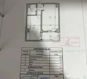 Apartament 2 camere – Zona Carol - Mobilat – Direct P...
