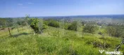 Teren panoramic 15.500 mp – investiție sau dezvoltare, zo 