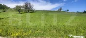 Teren panoramic 15.500 mp – investiție sau dezvoltare, zo 