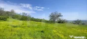 Teren panoramic 15.500 mp – investiție sau dezvoltare, zo 