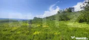 Teren panoramic 15.500 mp – investiție sau dezvoltare, zo 