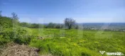 Teren panoramic 15.500 mp – investiție sau dezvoltare, zo 