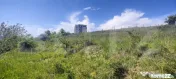 Teren panoramic 15.500 mp – investiție sau dezvoltare, zo 