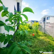 Casa la pret de apartanent, curte individuala, terasa, toate 
