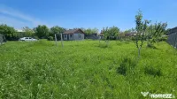 DUMBRAVA - 1219 mp Teren ideal casă – asfalt, utilități 