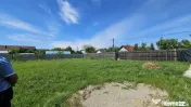 DUMBRAVA - 1219 mp Teren ideal casă – asfalt, utilități 