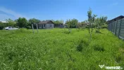 DUMBRAVA - 1219 mp Teren ideal casă – asfalt, utilități 