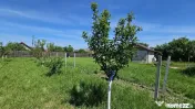 DUMBRAVA - 1219 mp Teren ideal casă – asfalt, utilități 