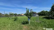DUMBRAVA - 1219 mp Teren ideal casă – asfalt, utilități 