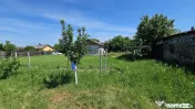 DUMBRAVA - 1219 mp Teren ideal casă – asfalt, utilități 