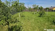 DUMBRAVA - 1219 mp Teren ideal casă – asfalt, utilități 