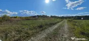 Refugiu la marginea padurii — 2822 mp de liniste in Coc... 