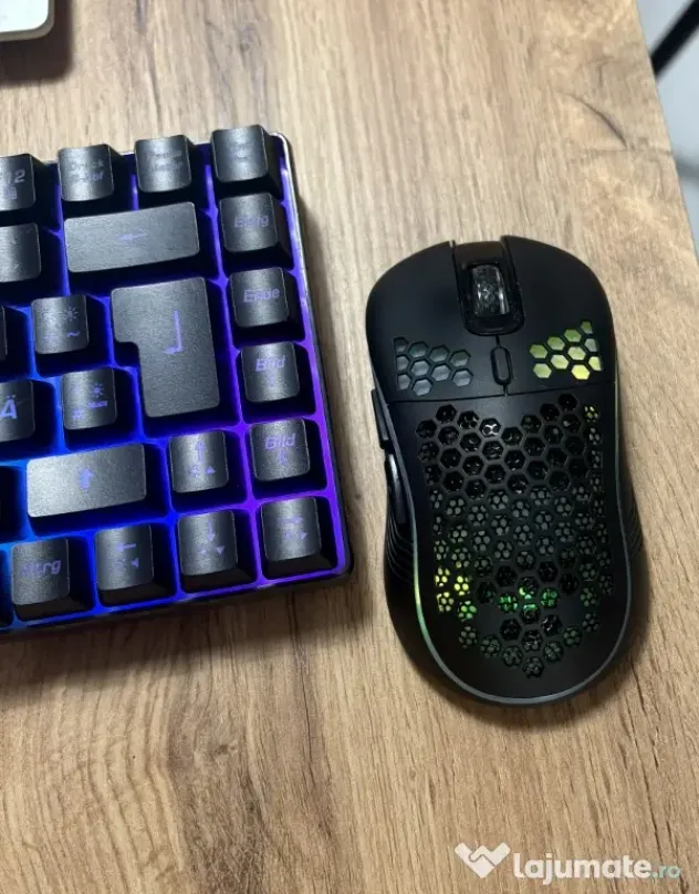 Tastatura și mouse wireless