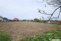 Teren 1.700 mp intravilan, natura, vecinatati bune, potentia