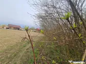 Teren 1.700 mp intravilan, natura, vecinatati bune, potentia 