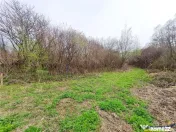 Teren 1.700 mp intravilan, natura, vecinatati bune, potentia 
