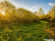Teren 1.700 mp intravilan, natura, vecinatati bune, potentia 