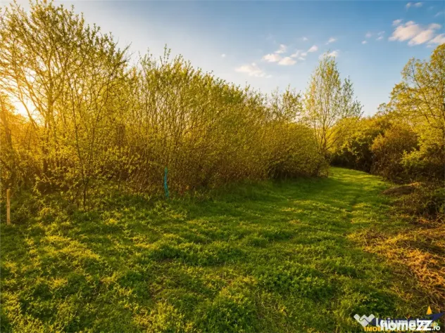 Teren 1.700 mp intravilan, natura, vecinatati bune, potentia