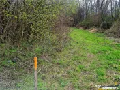 Teren 1.700 mp intravilan, natura, vecinatati bune, potentia 